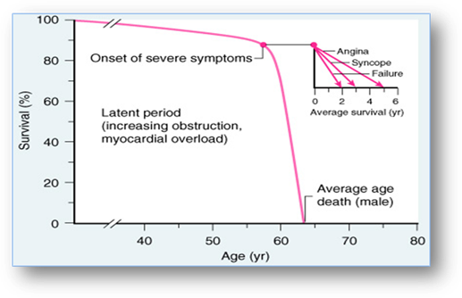 Descrizione: NP PASS3:Conferences:Leicester UK Valve Symposium - 2009:57FF28.jpg